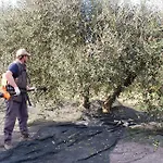Due Piani Lantgård *