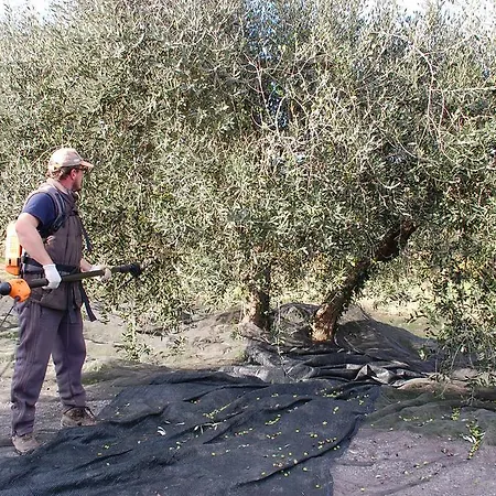 Due Piani בית חווה *