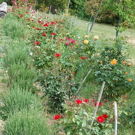 Farm stay Due Piani Barberino Val d'Elsa
