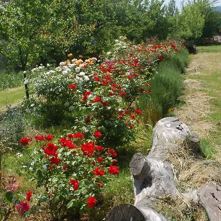 Farm stay Due Piani Barberino Val d'Elsa