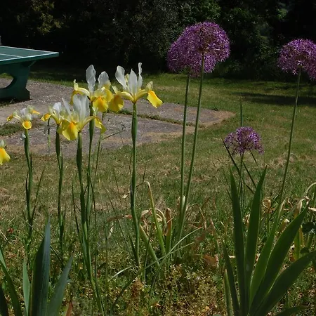 Farmház Due Piani *