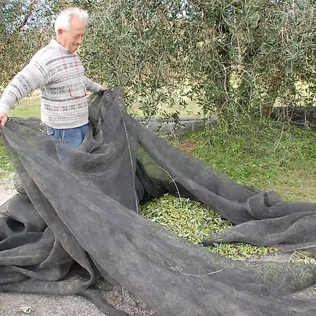 Farmház Due Piani *