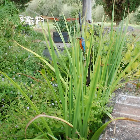 Due Piani Barberino di Val dʼElsa