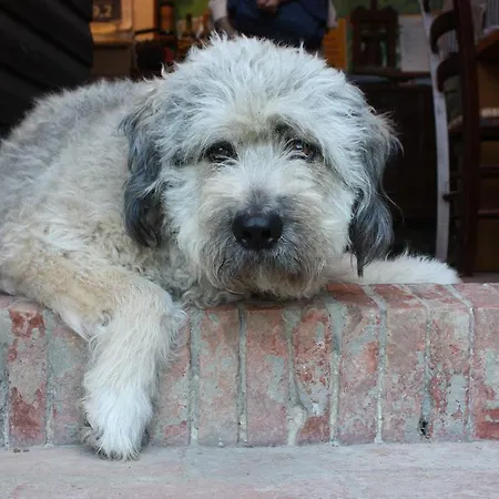 Due Piani * Barberino di Val dʼElsa