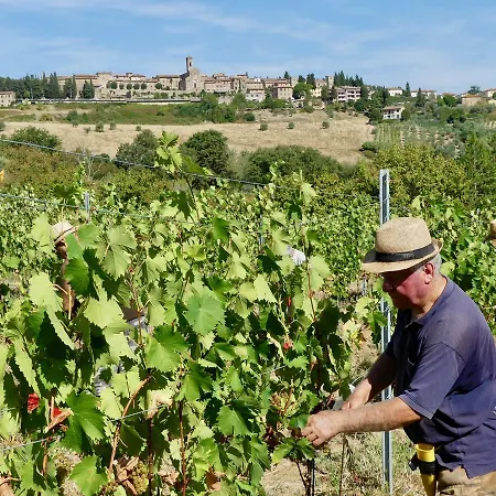 Due Piani Barberino di Val dʼElsa