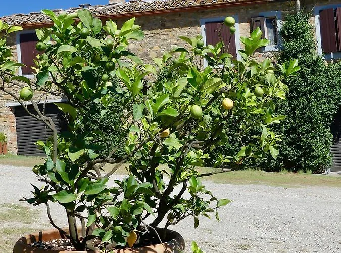 Due Piani *
