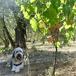 Due Piani Alloggio per agriturismo Barberino di Val dʼElsa