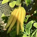 Alloggio per agriturismo Due Piani Barberino di Val dʼElsa