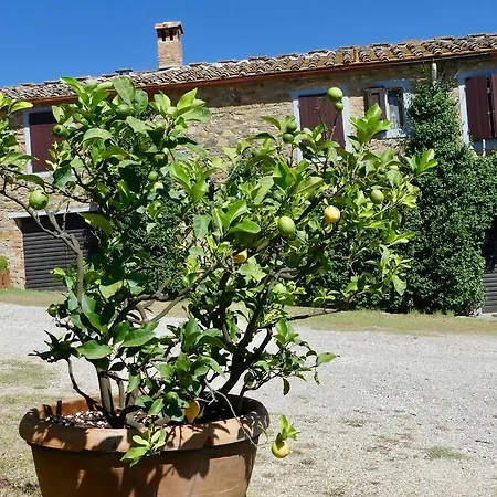 Due Piani *