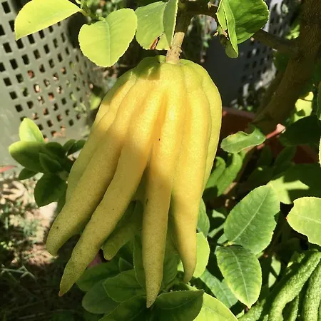 Gospodarstwo agroturystyczne Due Piani Barberino di Val dʼElsa